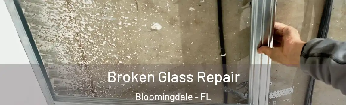  Broken Glass Repair Bloomingdale - FL