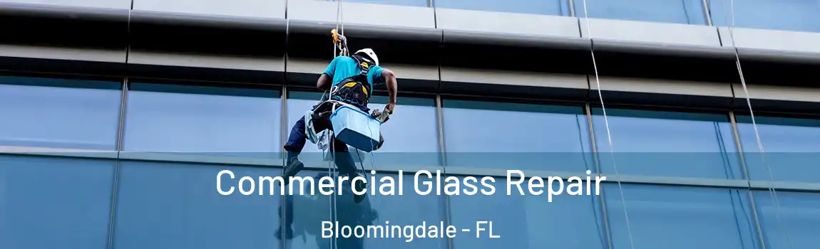  Commercial Glass Repair Bloomingdale - FL