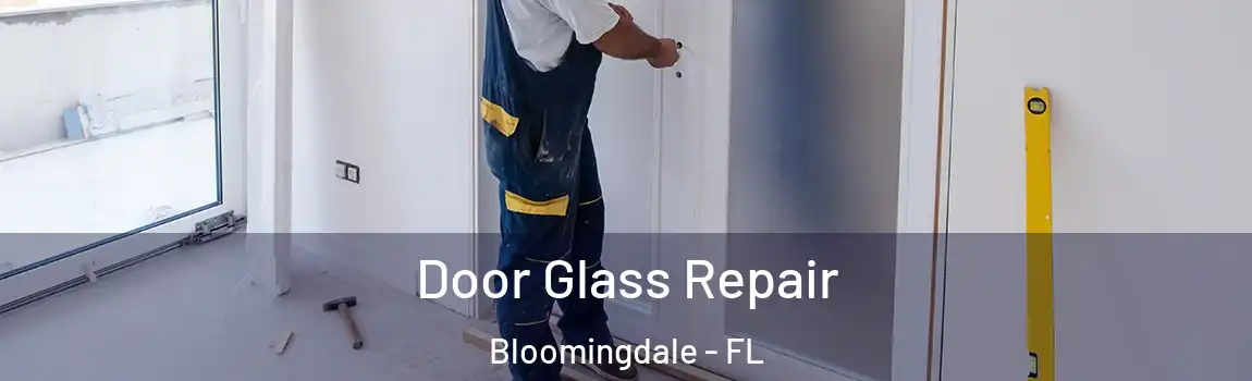  Door Glass Repair Bloomingdale - FL
