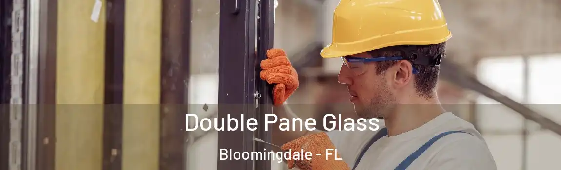  Double Pane Glass Bloomingdale - FL