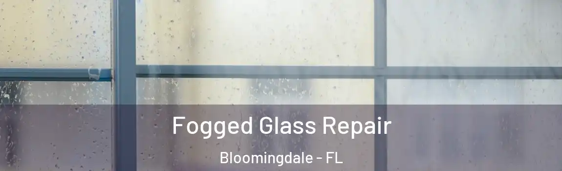  Fogged Glass Repair Bloomingdale - FL