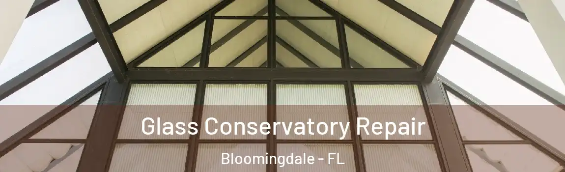  Glass Conservatory Repair Bloomingdale - FL