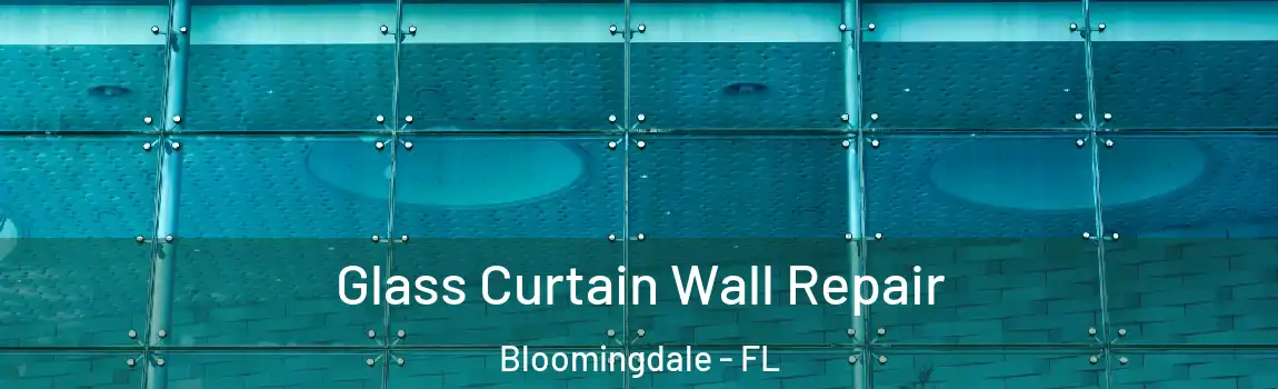  Glass Curtain Wall Repair Bloomingdale - FL