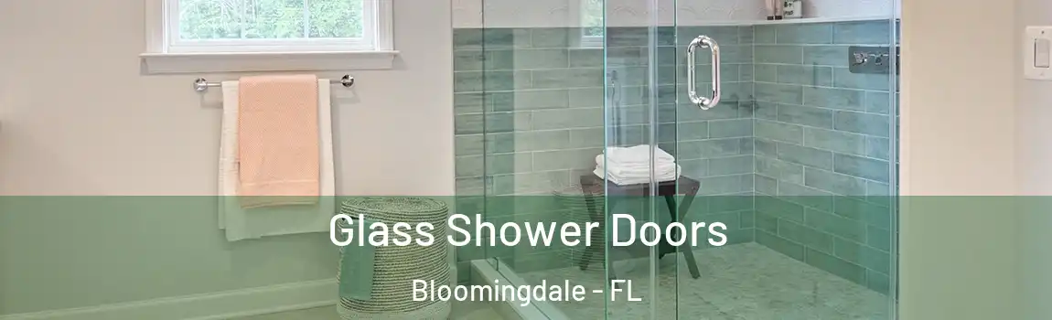  Glass Shower Doors Bloomingdale - FL