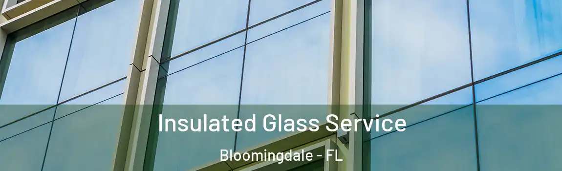  Insulated Glass Service Bloomingdale - FL