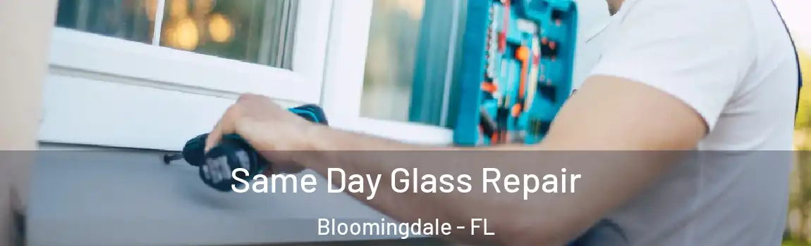  Same Day Glass Repair Bloomingdale - FL