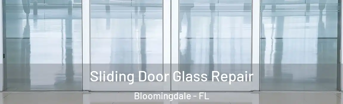  Sliding Door Glass Repair Bloomingdale - FL