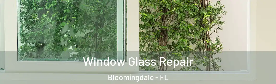  Window Glass Repair Bloomingdale - FL