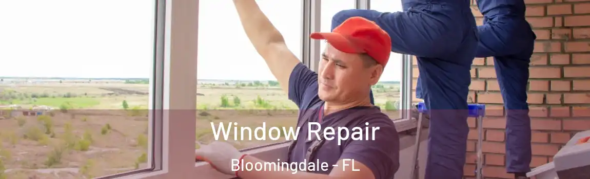  Window Repair Bloomingdale - FL