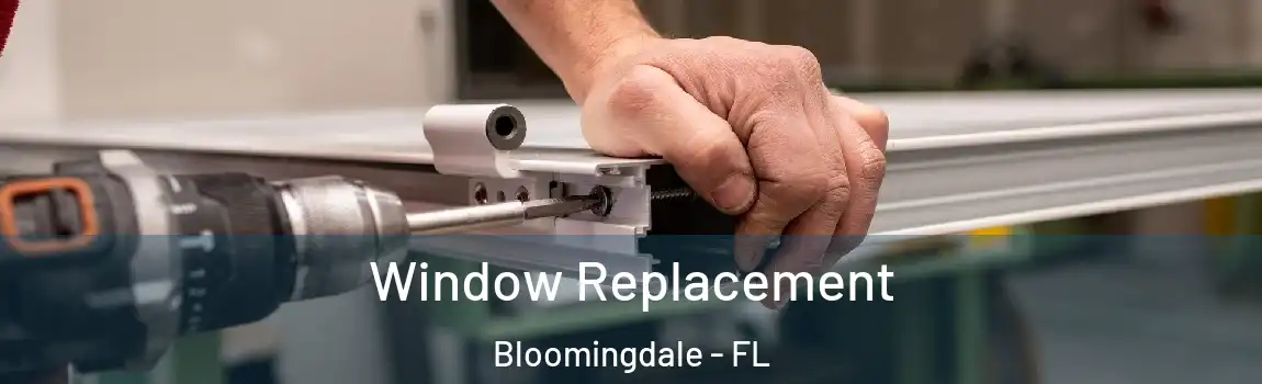  Window Replacement Bloomingdale - FL