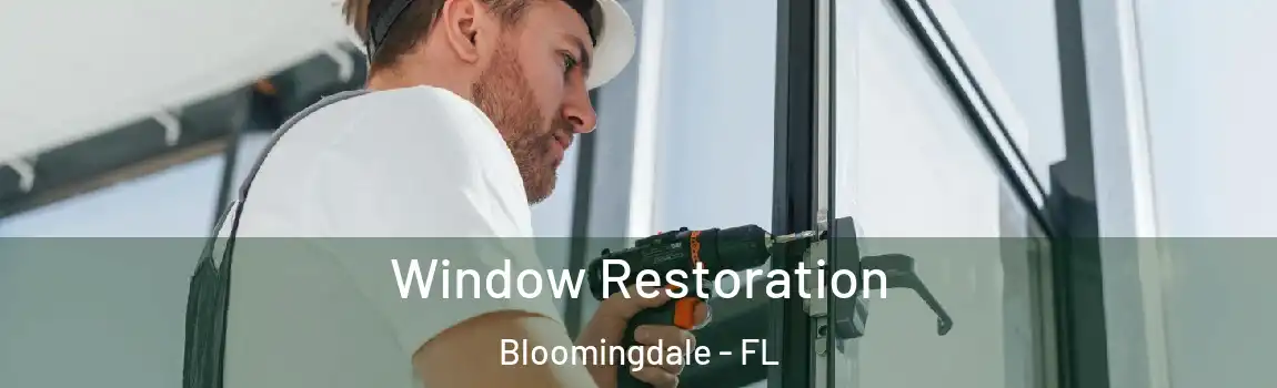  Window Restoration Bloomingdale - FL